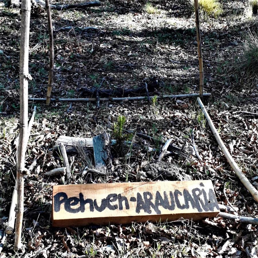 Cabana La Chaura Conguillio * Melipeuco