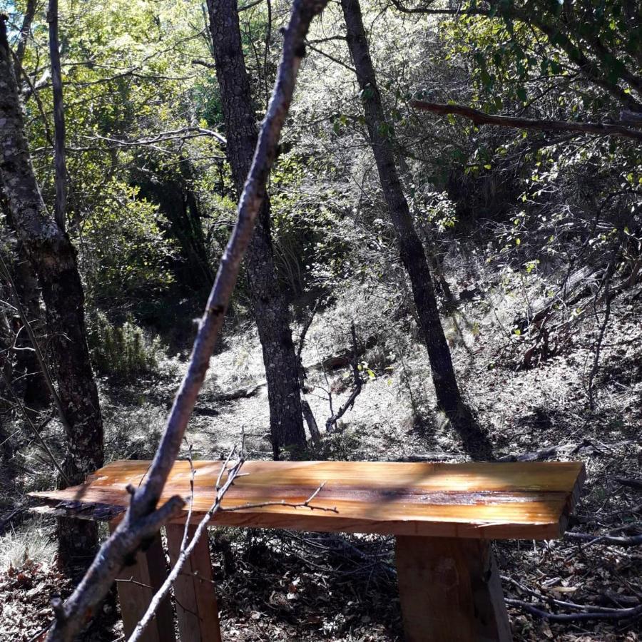Cabana La Chaura Conguillio