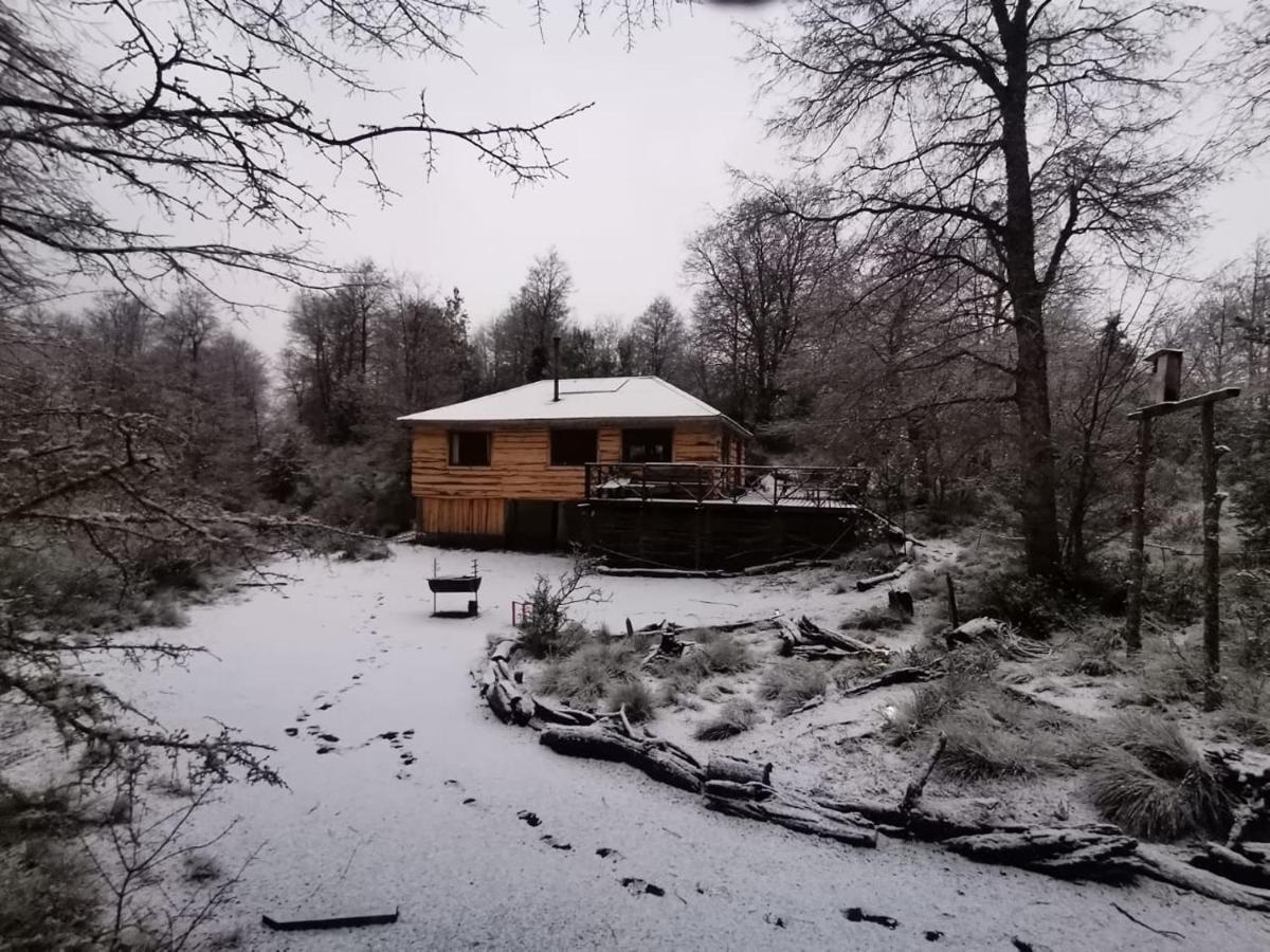 Cabana La Chaura Conguillio Chalé
