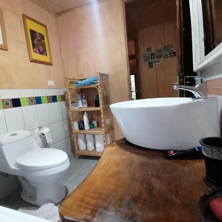 Cabana La Chaura Conguillio