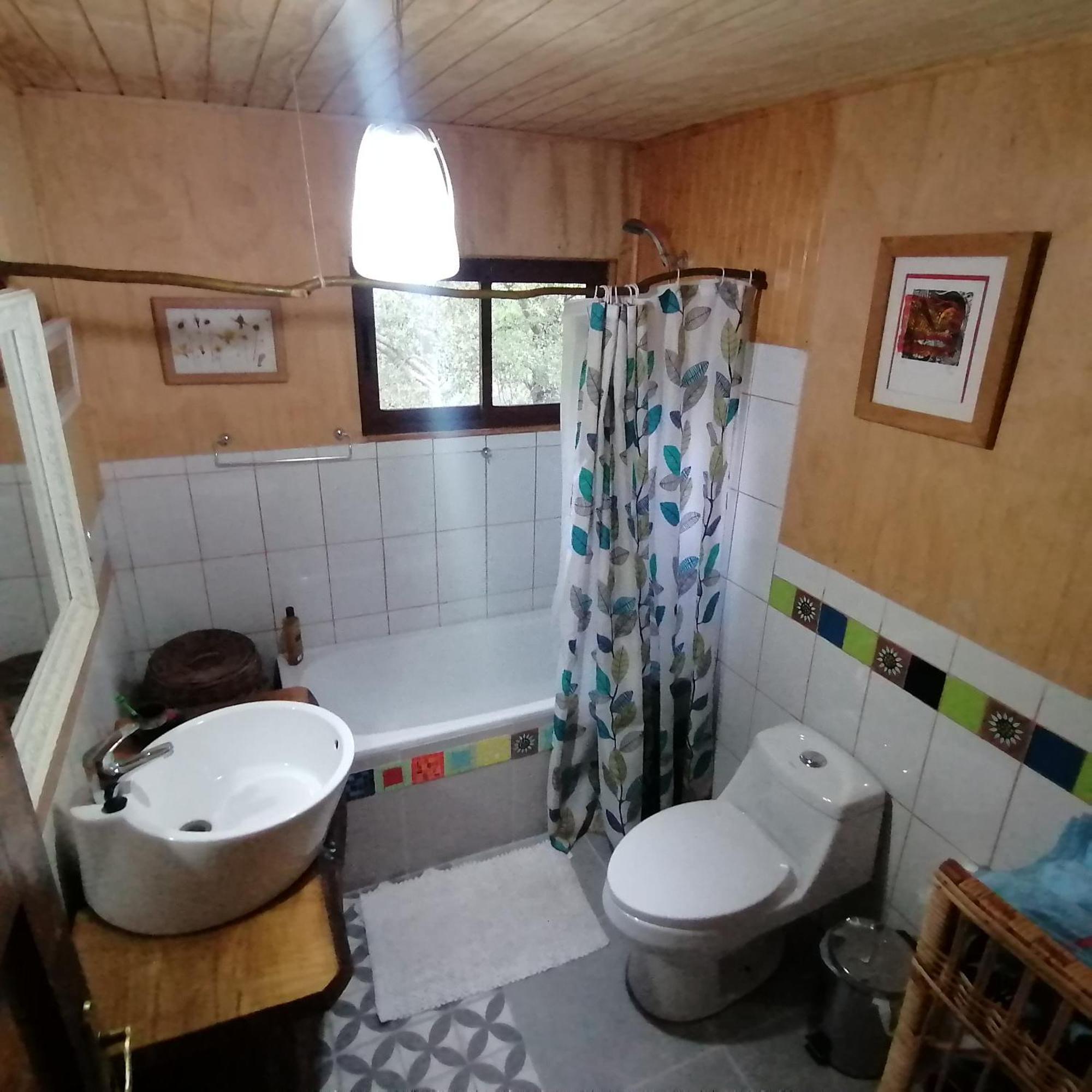 Chalé Cabana La Chaura Conguillio