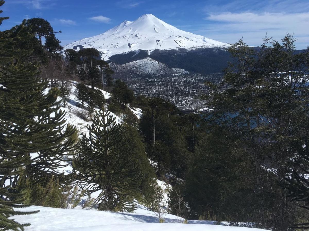 Cabana La Chaura Conguillio