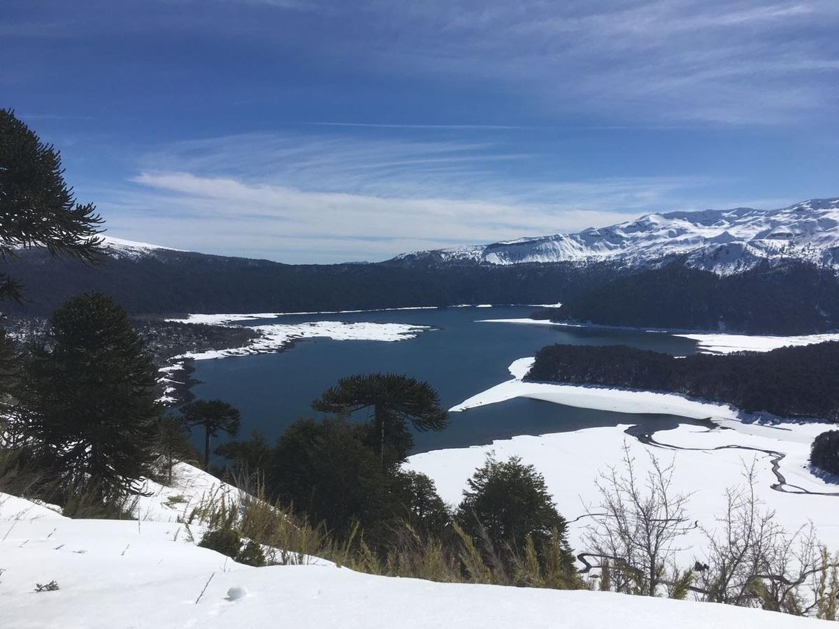 Cabana La Chaura Conguillio Chalé Melipeuco